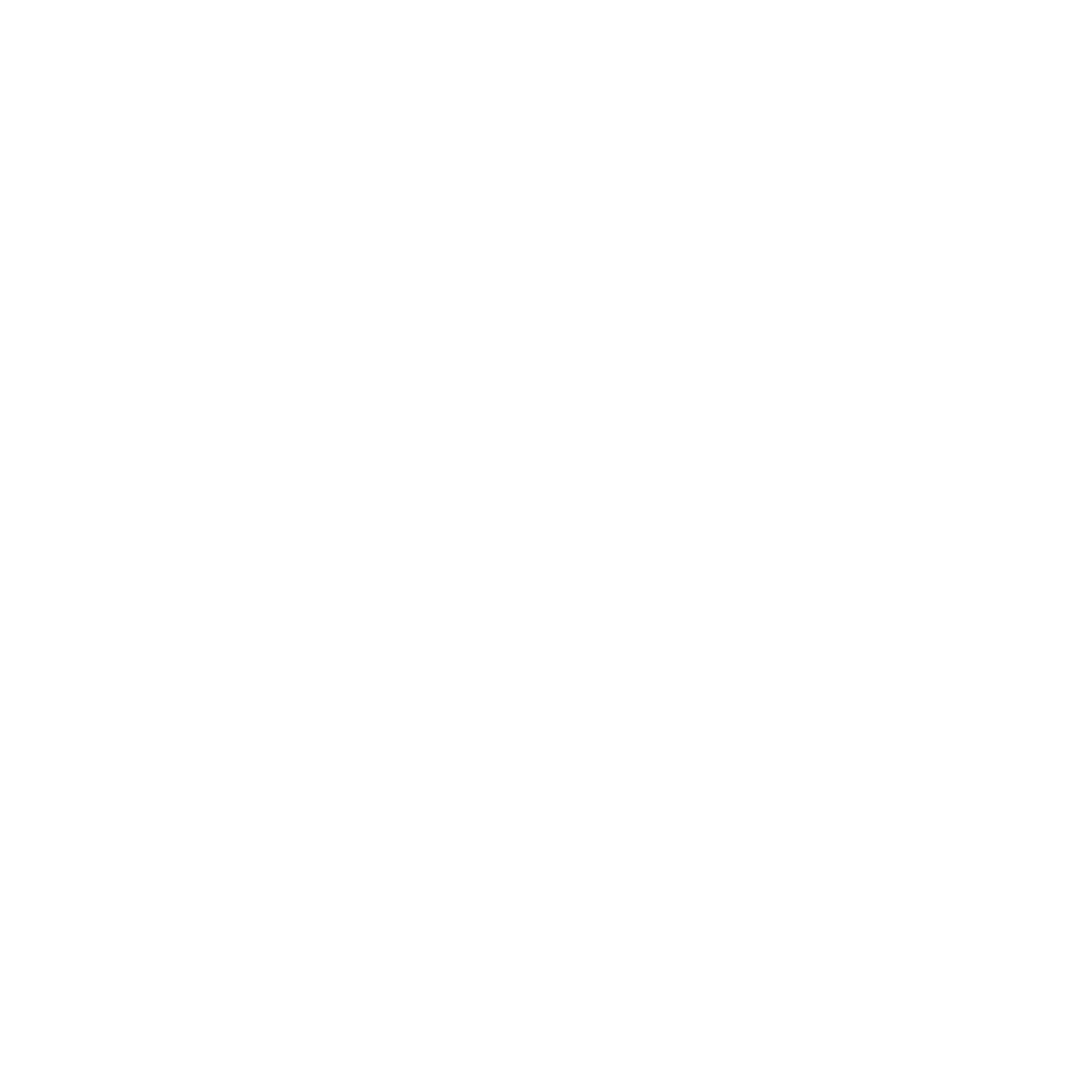 The Brute